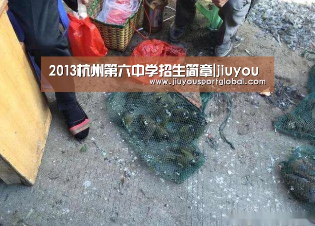 2013杭州第六中学招生简章|jiuyou(图2) 九游体育